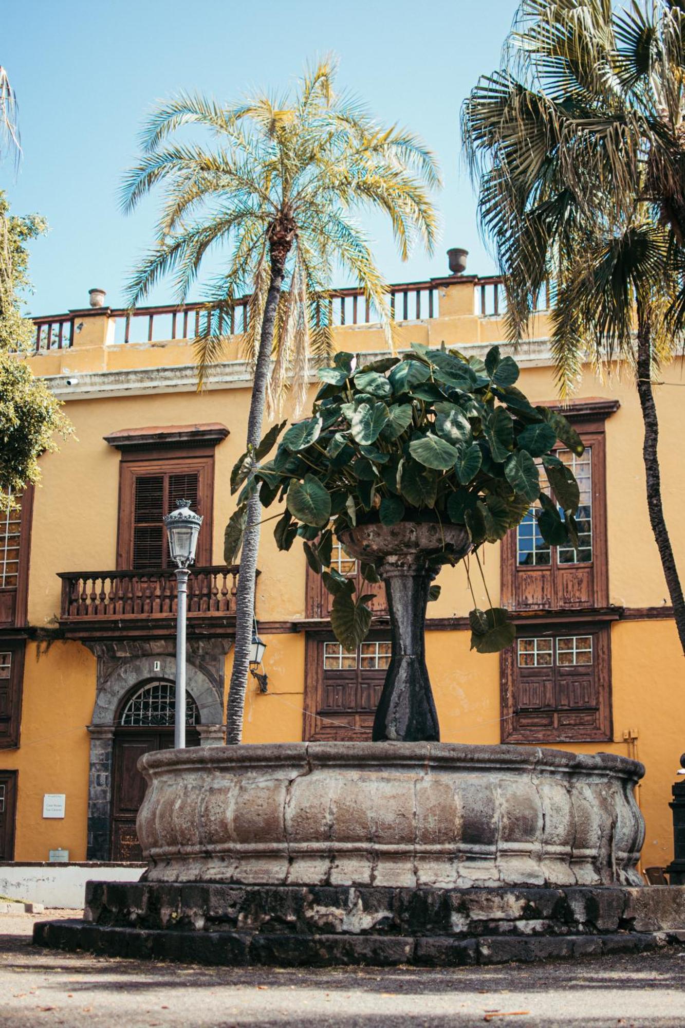 Las Casitas Del Bebedero - Yoga & Ecoturismo Икод-де-лос-Винос Экстерьер фото